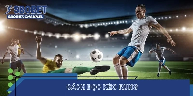 Cách đọc kèo chuẩn 