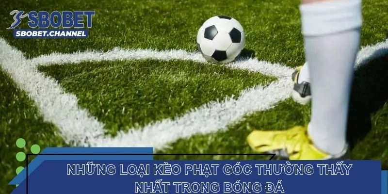 Những loại kèo phạt góc thường thấy nhất trong bóng đá