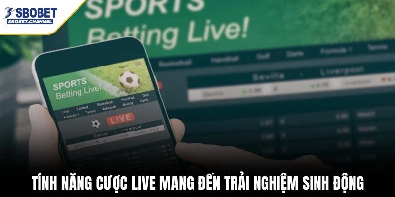 Tính năng cược live mang đến trải nghiệm sinh động